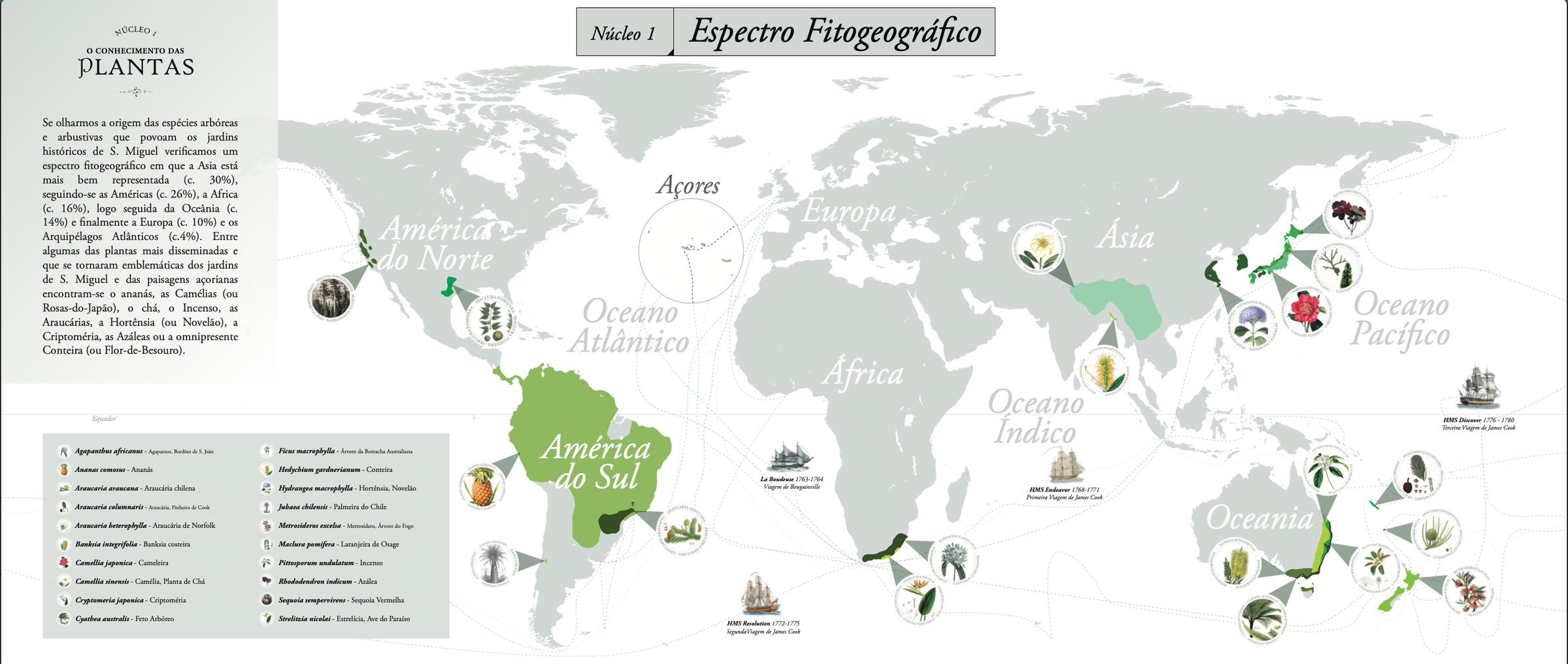 Plantas e Jardins, imagem 5