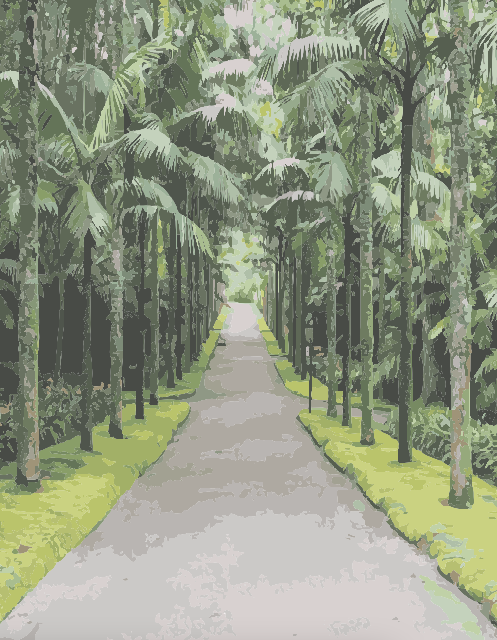 Plantas e Jardins, imagem 1