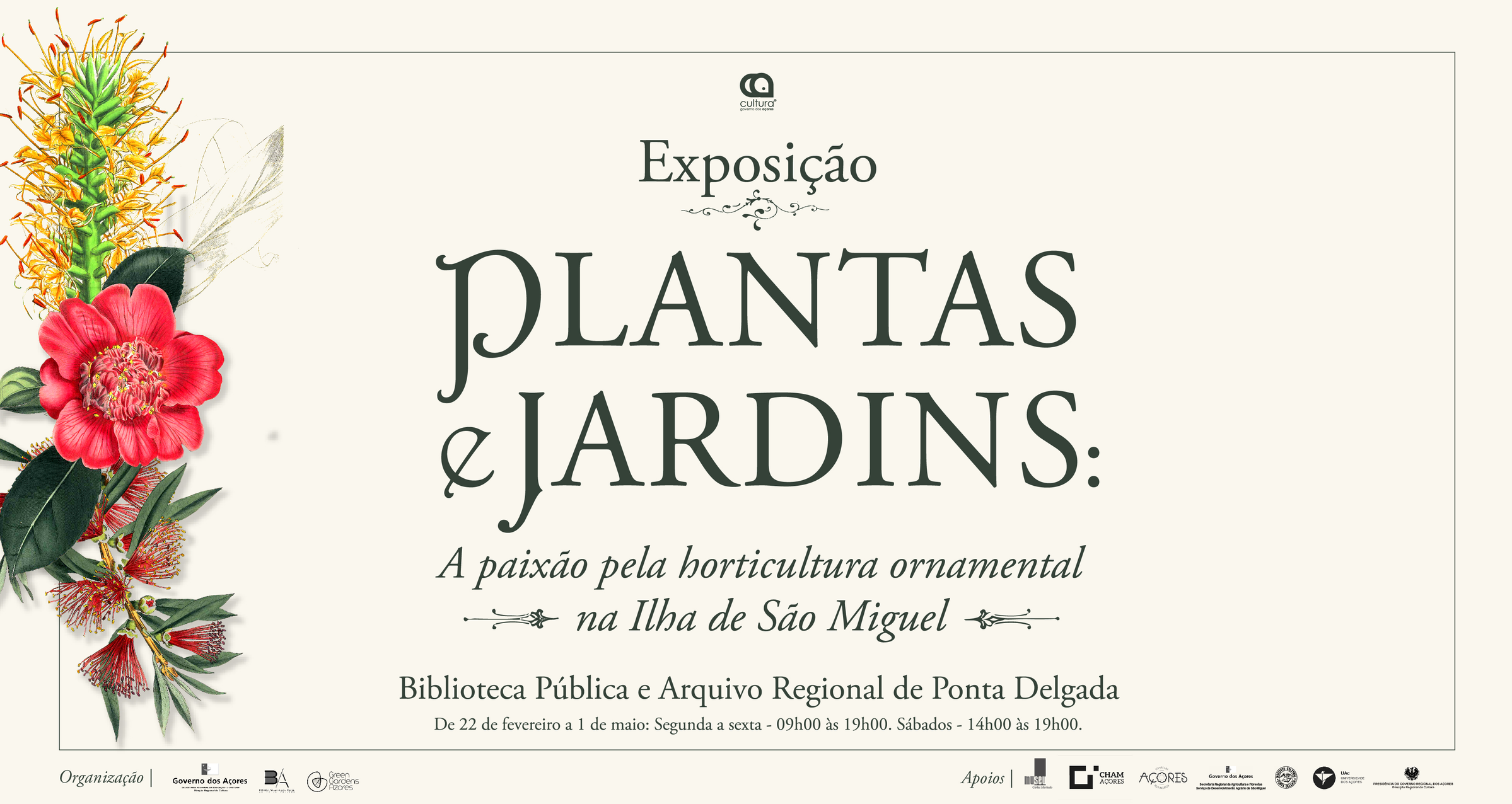 Plantas e Jardins, imagem 2